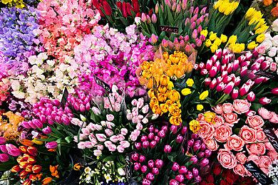 《微软飞行模拟2024》发布大型补丁 修复多项崩溃问题